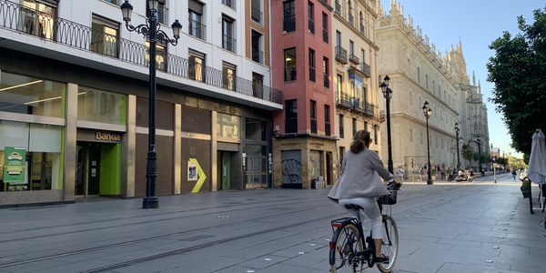 El Ayuntamiento de Sevilla aprueba de forma inicial la propuesta de delimitación y régimen de autorizaciones para el acceso a las zonas de tráfico restringido del Casco Antiguo y la zona histórica de Triana