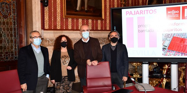 El Ayuntamiento aprueba la primera fase de la rehabilitación de viviendas públicas en Pajaritos y pide la cofinanciación de la Junta a través de la convocatoria de áreas de regeneración y renovación urbana