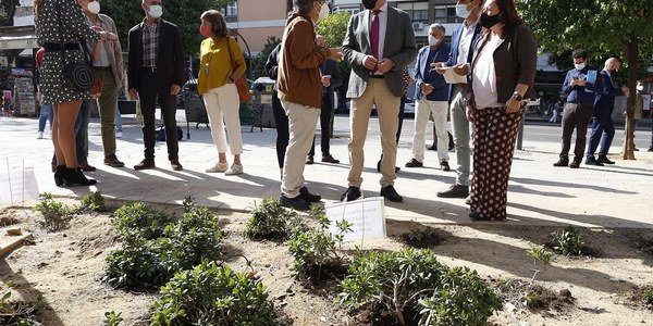 El Ayuntamiento culmina la remodelación de la glorieta Jardín Pepe da Rosa en Los Remedios, una actuación que ha contado con una amplia participación ciudadana y que ha transformado la zona en un espacio más habitable y accesible y más verde