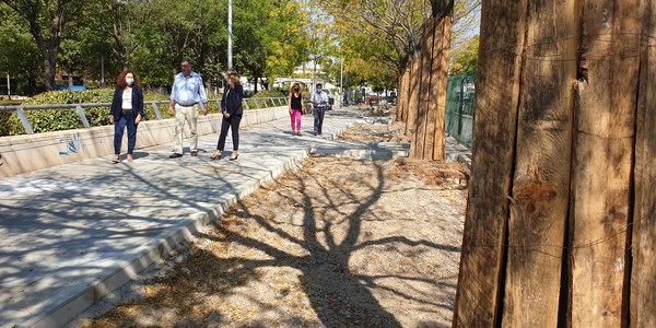 El Ayuntamiento ejecuta una nueva fase de la ampliación de alcorques y mejora de las condiciones del arbolado del Paseo de Europa, en Bellavista-La Palmera