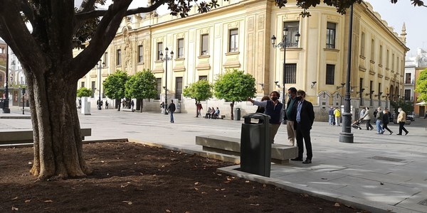 El Ayuntamiento elaborará un catálogo de árboles singulares por sus características botánicas, culturales o paisajísticas para reforzar la protección del patrimonio arbóreo de la ciudad