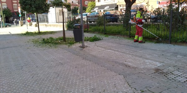 El Ayuntamiento pone en marcha un plan especial de desbroce de las calles y espacios públicos con un centenar de operarios de Lipasam, Parques y Jardines y REUR
