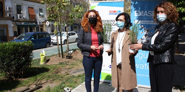 El Ayuntamiento realiza una primera plantación de nuevo arbolado en el entorno de la Cruz Roja con la comunidad educativa del Arias Montano, residentes y comerciantes de la zona