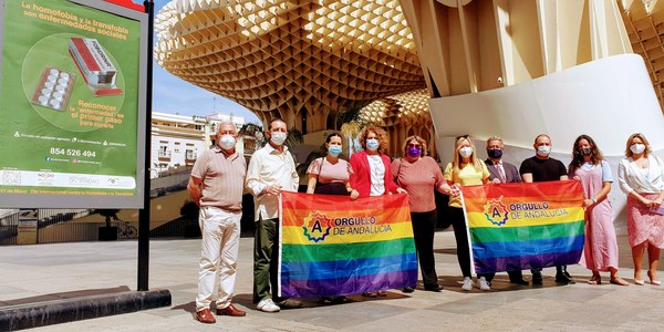 El Ayuntamiento y Sevilla Diversa presentan la campaña “La homofobia y la transfobia son enfermedades sociales” de denuncia contra estas lacras en su día internacional