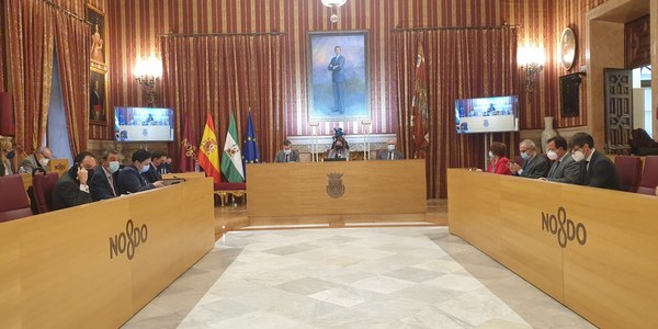 El Pleno aprueba los nuevos estatutos del Real Alcázar para adaptarlos a la normativa vigente, reforzar la profesionalización de la gestión y las políticas de conservación y garantizar la participación de los expertos independientes