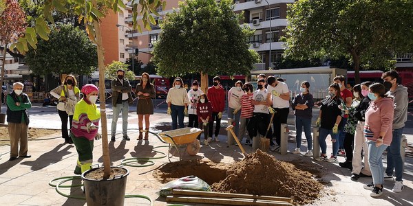 Estudiantes del I.E.S. Politécnico de Sevilla colaboran en las plantaciones de nuevos árboles y arbustos durante las obras de reurbanización integral de la Glorieta Jardín Pepe Da Rosa, en Los Remedios