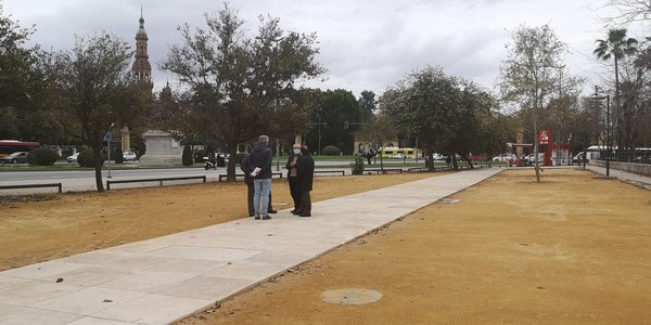El Ayuntamiento culmina la primera fase para recuperar el uso peatonal y garantizar la protección del patrimonio en el solar de la glorieta de El Cid frente a la sede de la Universidad de Sevilla y tramita ante Patrimonio plantar una treintena de árboles para enriquecer el paisaje y generar sombra