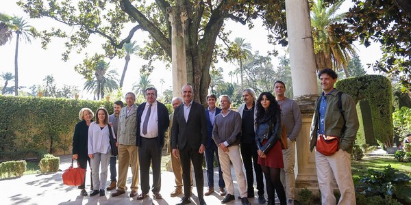 El Ayuntamiento aprueba el primer inventario de árboles singulares de la ciudad con 56 ejemplares y 28 formaciones arboladas que tendrán una especial conservación y una protección patrimonial