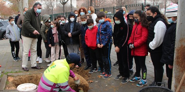 El Ayuntamiento avanza con la campaña de plantaciones 2021-2022 en el Distrito Este-Alcosa-Torreblanca, donde están previstos 533 nuevos árboles y arbustos