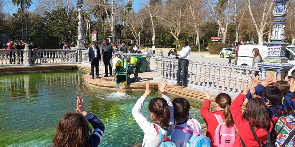 El Ayuntamiento comienza los trabajos de limpieza del Estanque de Los Lotos del Parque de María Luisa y devuelve los peces a la ría de la Plaza de España