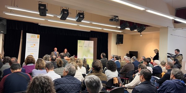 El Ayuntamiento de Sevilla destinará 1,3 millones de euros al año para la retirada de pintadas vandálicas con equipos específicos que se contratarán a través de la Gerencia de Urbanismo y que reforzarán el trabajo que ya ejecuta Lipasam