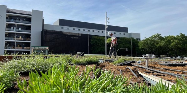 El Ayuntamiento de Sevilla inicia los trabajos de jardinería en la cubierta y fachada de la bici estación de San Bernardo