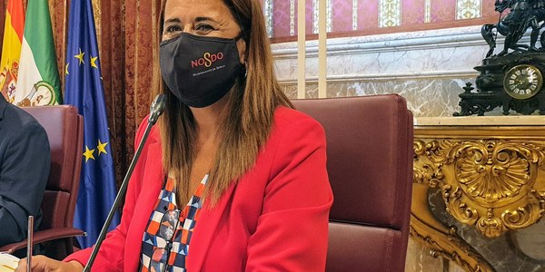 El Ayuntamiento eleva al CESS el proyecto de revisión del Impuesto de Plusvalía para ajustarlo a la capacidad económica del contribuyente y que permite elegir la opción más ventajosa al calcular el tributo y combate la especulación en la vivienda