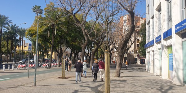 El Ayuntamiento planta 110 nuevos árboles en barrios próximos a la ampliación del tranvía, adicionales a la construcción del amplio corredor verde de San Francisco Javier y Luis de Morales y en el marco de la estrategia ‘Respira Nervión’