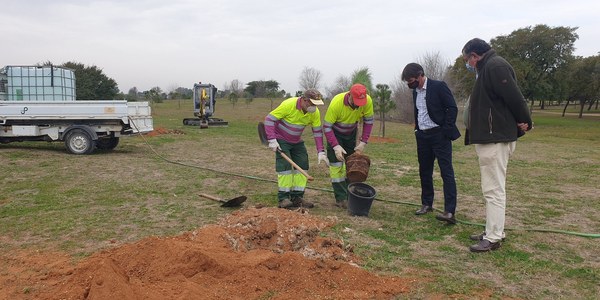 El Ayuntamiento planta 150 árboles en el Parque Tamarguillo y eleva a 750 las nuevas unidades en esta zona verde en los últimos años
