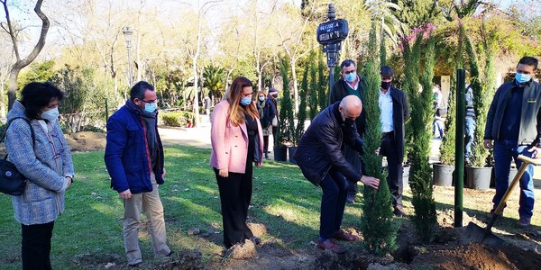 El Ayuntamiento planta 400 cipreses en la Glorieta de Ofelia Nieto del Parque de María Luisa, invertirá este año 1,8 millones en completar la pavimentación de sus caminos y la rehabilitación del Pabellón de Telefónica e inicia un expediente para dotarlo de videovigilancia