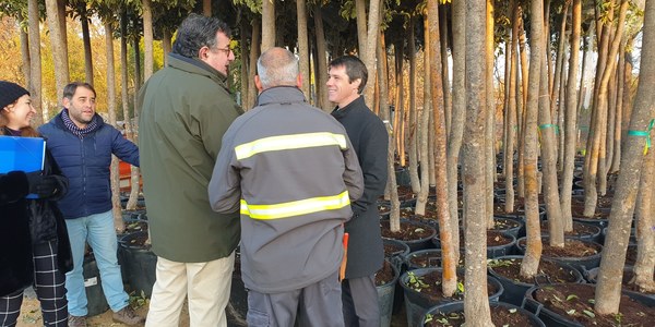 El Ayuntamiento realizará una nueva ampliación de las infraestructuras del Vivero de Miraflores con 155.000 euros de inversión para atender las crecientes campañas de plantaciones de árboles y de los trabajos de jardinería en la vía pública