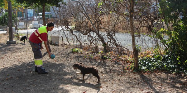El Centro de Protección y Control Animal facilitó hasta junio la adopción de 182 perros y 260 gatos, el 88 por ciento de los disponibles, con precios de microchip y pasaporte sanitario reducidos a la mitad a particulares y gratuitos para entidades