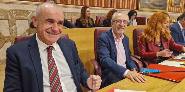 El Pleno aprueba denominar dos glorietas de Los Remedios y el Parque Amate con los nombres de las deportistas Elvira y Fabiola Fiances y del Premio Nobel Karl Landsteiner y 23 calles del nuevo barrio de Palmas Altas con nominaciones de islas de todo el mundo