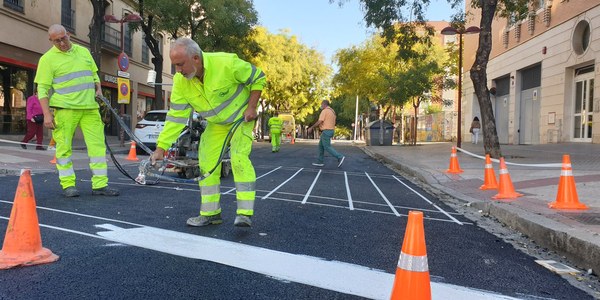 El Pleno aprueba modificar la ordenanza de circulación para que se puedan implantar en Sevilla las zonas de bajas emisiones que establece la legislación estatal y en el objetivo de mejorar el medio ambiente y la salud en la ciudad