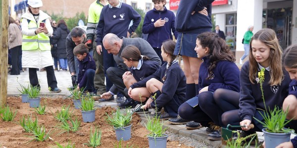 El Ayuntamiento de Sevilla pone en servicio el nuevo y amplio itinerario peatonal de la zona más comercial de San Francisco Javier, inicia las plantaciones de árboles y áreas ajardinadas y desarrolla actividades para dinamizar las compras