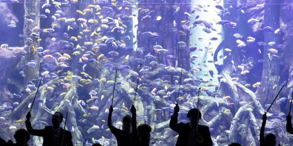 Éxito del concierto gratuito para toda la familia del Acuario de Sevilla incluido en la programación navideña impulsada por el Ayuntamiento