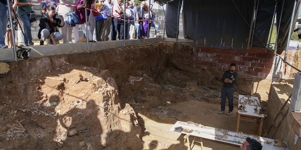 Las pruebas científicas certifican que al menos una treintena de los cuerpos represaliados de la fosa común de Pico Reja corresponden a integrantes de la Columna Minera de Huelva