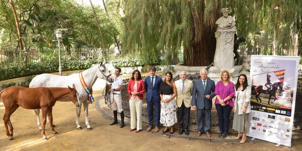 Más de 200 caballos y jinetes participan en la XII edición de la Gran Semana del Caballo Angloárabe que se celebra en el Parque del Alamillo desde este viernes