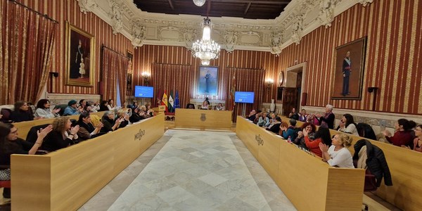El Ayuntamiento aborda en el Consejo Municipal de la Mujer el repunte de casos de crímenes machistas en España y elevará las conclusiones al Pleno municipal para ratificar el compromiso y reforzar el trabajo de todas las administraciones en la lucha contra la violencia de género