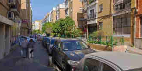 El Ayuntamiento aprueba licitar la reurbanización integral de la calle Doctor Jerónimo Pou, en Triana, con 292.000 euros de inversión para generar itinerarios peatonales,  garantizar la accesibilidad universal, renovar acerados, el alumbrado y las redes de servicios y completar y mejorar la vegetación