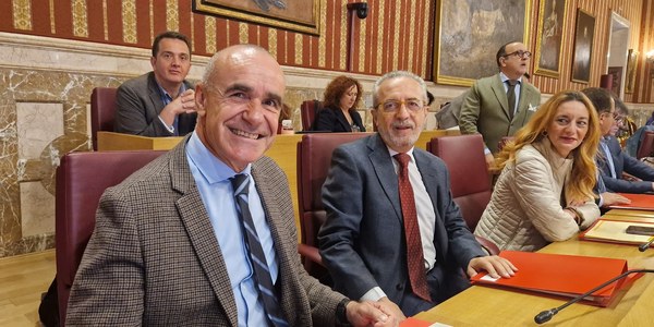 El Ayuntamiento de Sevilla avanza en el procedimiento para asumir la conservación del viario, el arbolado y las zonas verdes de Sevilla Este que llevaban gestionado sus propietarios desde hace casi 40 años tras el trabajo impulsado desde la Gerencia de Urbanismo y Medio Ambiente