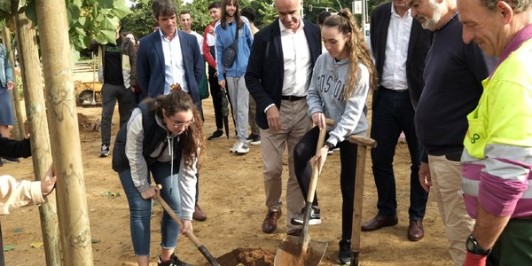 El Ayuntamiento de Sevilla duplica el presupuesto destinado al refuerzo del riego con agua no potable de los nuevos árboles plantados ante el crecimiento del número de unidades, con 18.000, y para hacer frente a las consecuencias de la sequía