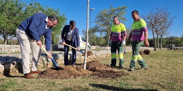 El Ayuntamiento de Sevilla planta 50 nuevos árboles en corredores peatonales, zonas comunes y áreas de juegos infantiles del Parque Miraflores en el Distrito Norte