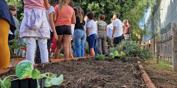 El Ayuntamiento licita obras para transformar el aparcamiento del CEIP José Fuentes de Sevilla Este en pistas polideportivas y zona de recreo con casi 100.000 euros