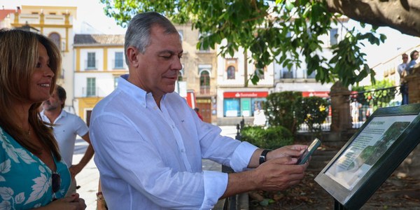 El Ayuntamiento señaliza y da protagonismo en la ciudad a los árboles singulares de Sevilla