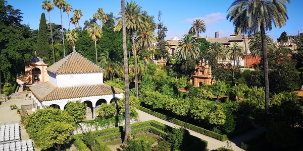 El Real Alcázar de Sevilla inicia el próximo 1 de abril sus visitas guiadas y gratuitas para sevillanos que incluyen por vez primera la parte superior de la Galería del Grutesco, la cubierta del Palacio Gótico y el balcón del Estanque de Mercurio