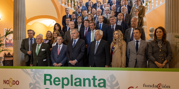 El Ayuntamiento y la Fundación de la Cámara de Comercio se unen para replantar los árboles retirados por la borrasca Bernard