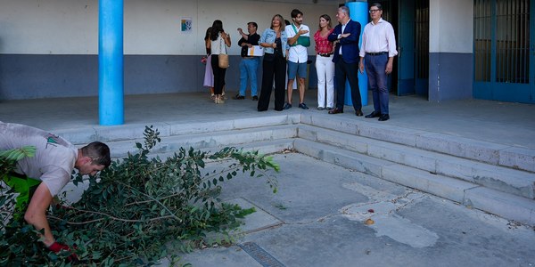 El Gobierno municipal pone en marcha el Servicio integral de mantenimiento de arbolado en centros educativos y edificios municipales