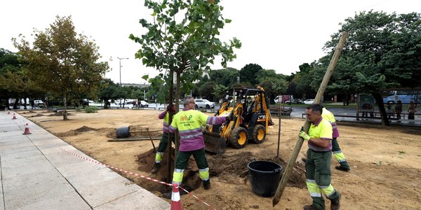 El Gobierno plantará 281 ejemplares en el tramo del futuro carril del Bus Eléctrico Rápido (BER) Torreblanca - Sevilla Este