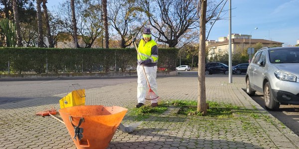 El Ayuntamiento activa un plan especial de desbroce, retirada de naranjas y refuerzo de la recogida selectiva con 121 nuevas contrataciones