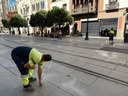 El Ayuntamiento comienza la instalación de los toldos en la Avenida de la Constitución dando respuesta a una demanda histórica El Ayuntamiento comienza la instalación de los toldos en la Avenida de la Constitución dando respuesta a una demanda histórica