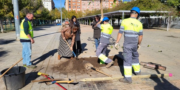 El Ayuntamiento impulsa la mayor campaña de plantaciones de los últimos años con más de 6500 árboles en toda la ciudad