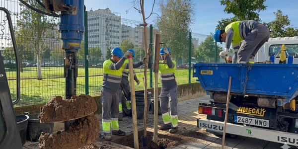 El Ayuntamiento refuerza el arbolado del distrito Este-Alcosa-Torreblanca con 767 nuevas plantaciones en calles, plazas y parques