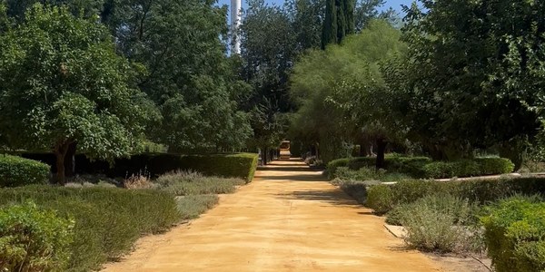 El Ayuntamiento rehabilita los caminos centrales de los Jardines del Guadalquivir dentro del plan de recuperación de este espacio verde