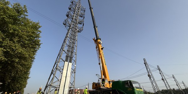 El Ayuntamiento y Endesa desmantelan las torres de alta tensión del recinto de la Feria