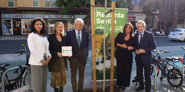 El Ayuntamiento y la Fundación Cámara de Comercio reconocen a Lamaignere, Consorcio Jabugo y Fundación MAS por su aportación de 50 árboles al proyecto Replanta Sevilla