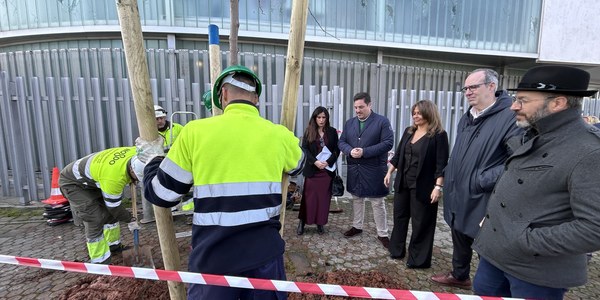 El Gobierno municipal alcanza el 78 % de la campaña de plantación con cerca de 3000 ejemplares