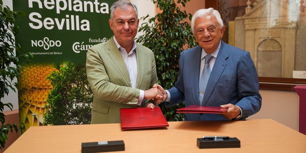 Fundación Cámara de Comercio y Ayuntamiento presentan Replanta 2.0 en el marco de la mayor campaña de plantación en Sevilla con el reto de alcanzar los 30 000 árboles en 2030