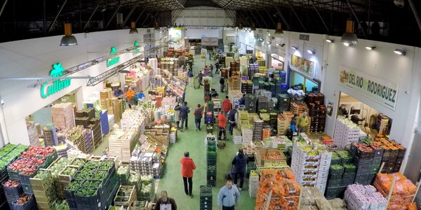 Mercasevilla cierra 2024 con un superávit de 1,5 millones y acaba con 17 años de números rojos