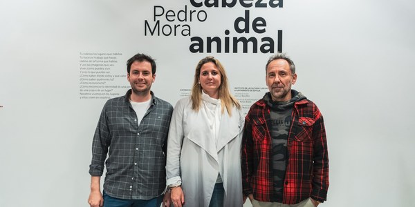 Sevilla refuerza su apuesta por la cultura con la exposición ‘Cabeza de Animal’ de Pedro Mora